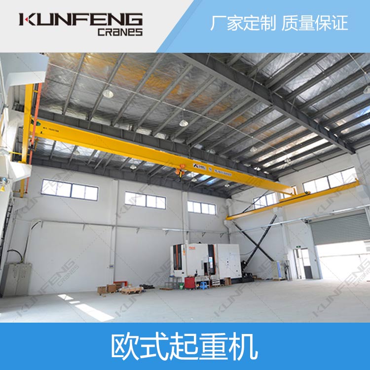 南通单梁欧式葫芦起重机非标定制