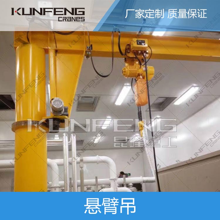 墙壁式悬臂起重机回转臂回转驱动装置
