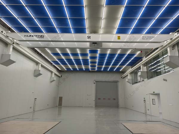 江苏洁净室起重机